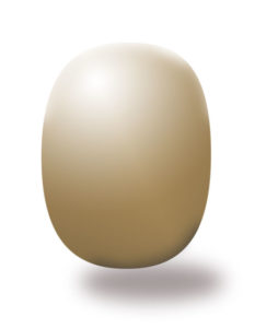 Das goldene Ei - Hiranya Garbha